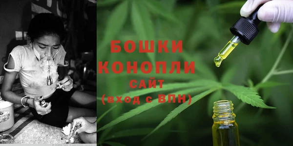 каннабис Аркадак