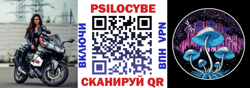 mega как зайти Завитинск Псилоцибиновые грибы GOLDEN TEACHER